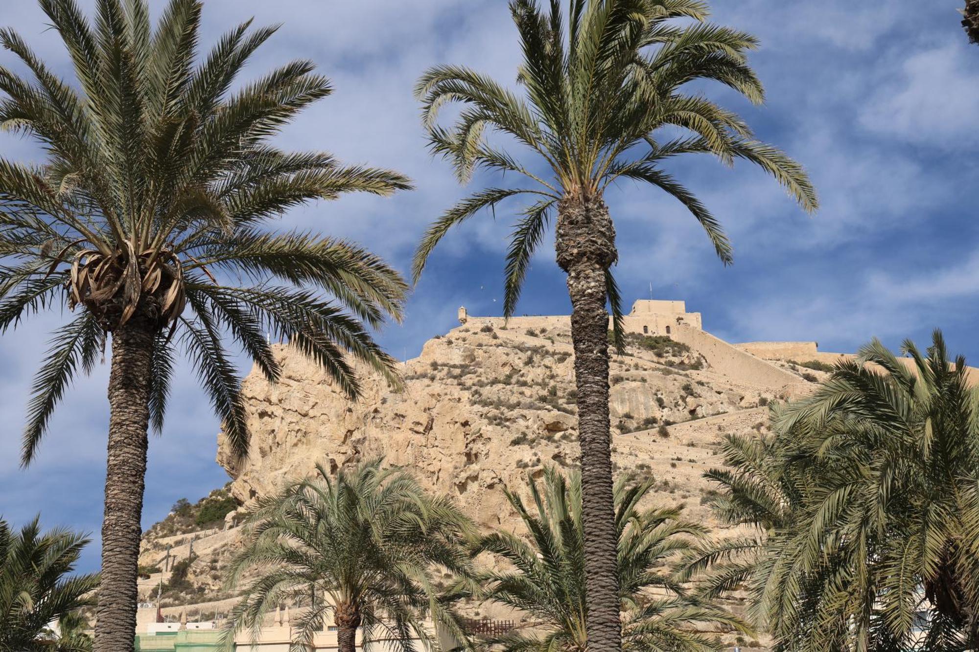 Alicantan Vital Experience Alicante Esterno foto
