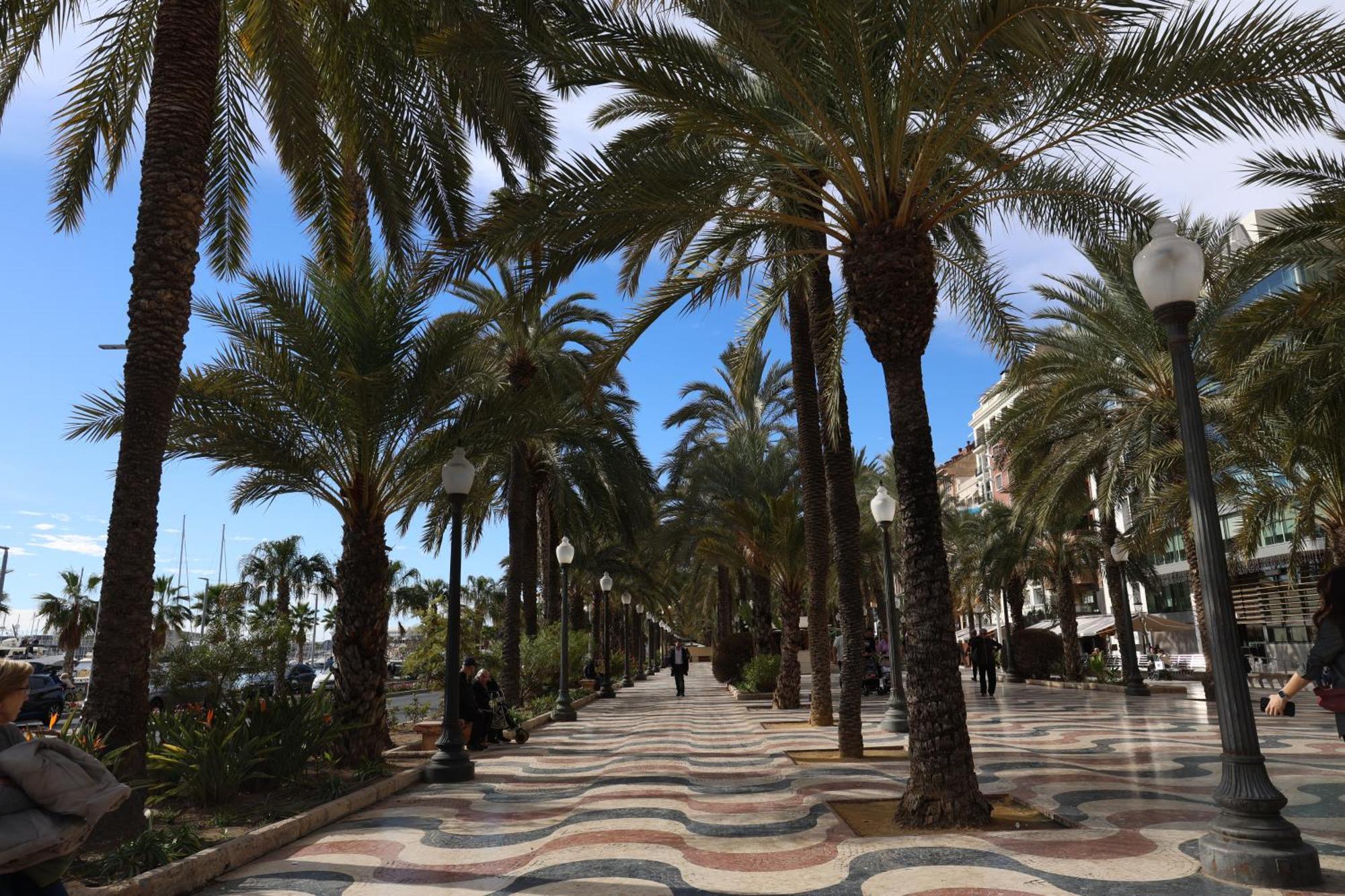 Alicantan Vital Experience Alicante Esterno foto